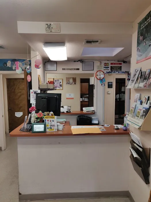 Caring Pet Hospital Picture 7