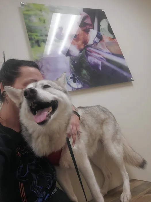 Vetco Vaccination Clinic Picture 5