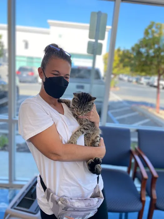 United Pet Hospital Picture 10