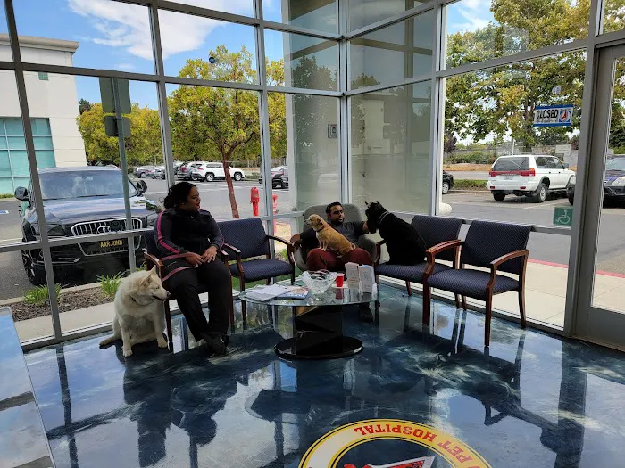 United Pet Hospital Picture 1
