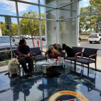 United Pet Hospital ico