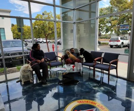 United Pet Hospital