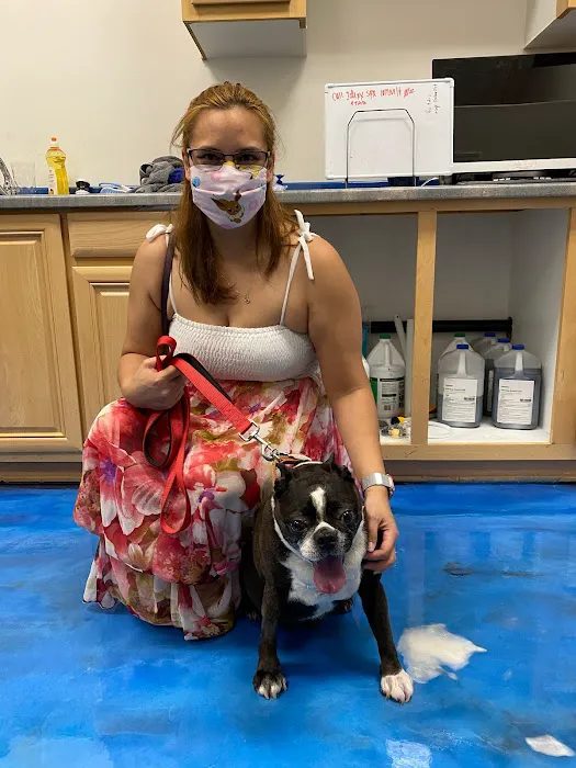 United Pet Hospital Picture 8