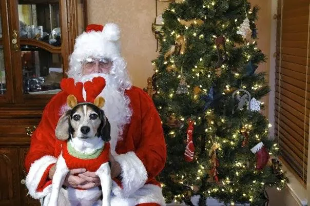 Central Texas Animal Hospital Picture 5