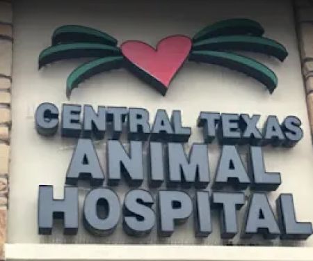 Central Texas Animal Hospital