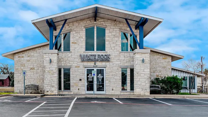 White Rock Veterinary Hospital Picture 1