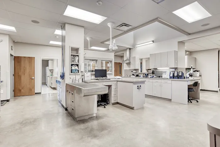White Rock Veterinary Hospital Picture 7