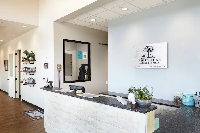 Whitestone Animal Hospital Picture 6