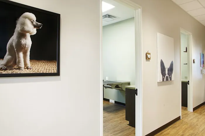Whitestone Animal Hospital Picture 2