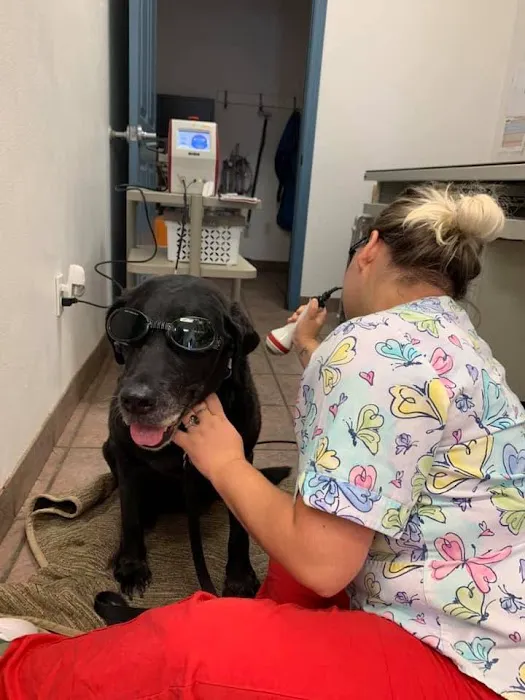 Hill Country Veterinary Hospital Picture 3