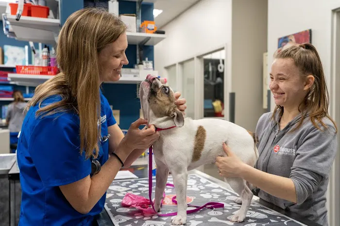 Firehouse Animal Health Center Leander Picture 4