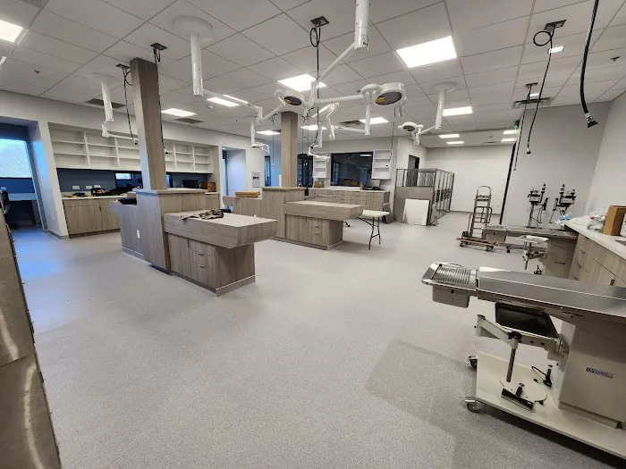 Leander Veterinary Clinic Picture 7