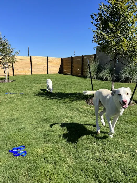 Leander Veterinary Clinic Picture 10