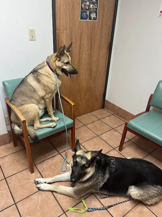 Block House Creek Animal Hospital Picture 5