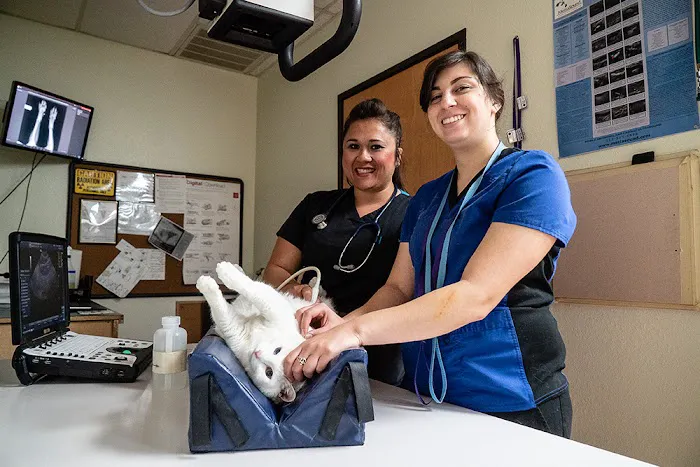 Block House Creek Animal Hospital Picture 9