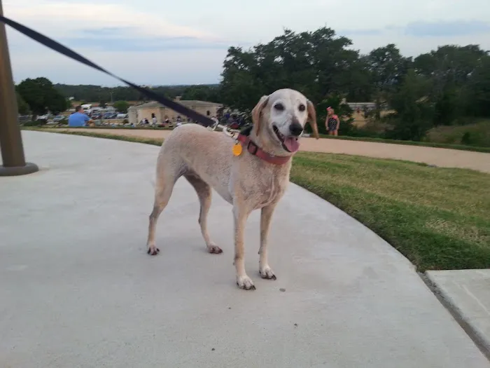 Cedar Park Animal Clinic Picture 9