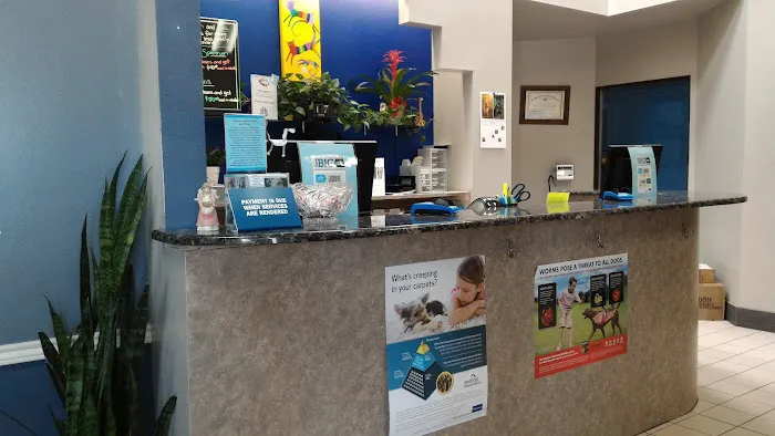 Buttercup Veterinary Hospital Picture 3