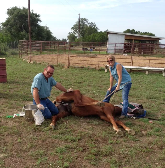 Fry Equine Health Mobile Large Animal Veterinarian Picture 9
