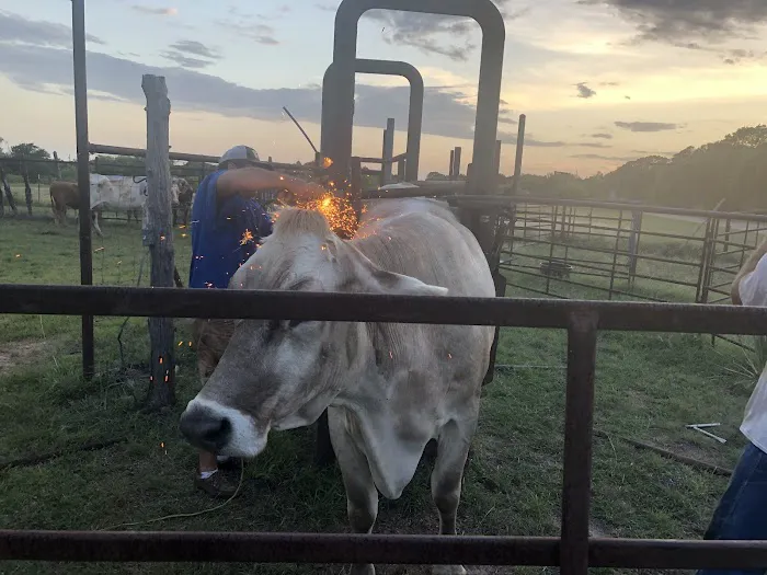 Fry Equine Health Mobile Large Animal Veterinarian Picture 3