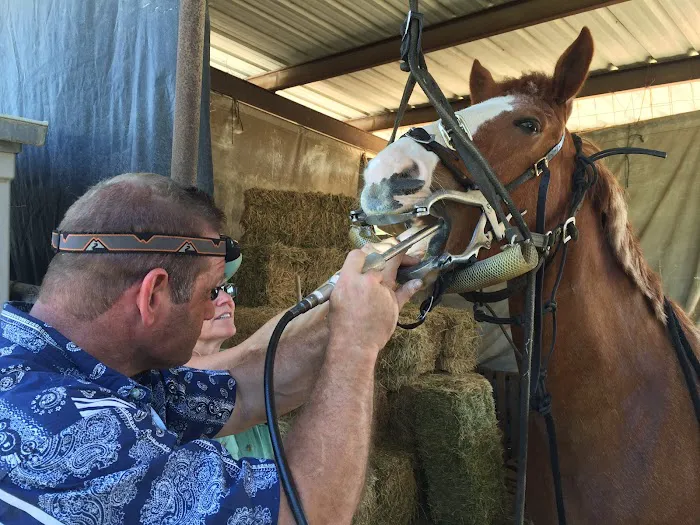 Fry Equine Health Mobile Large Animal Veterinarian Picture 8