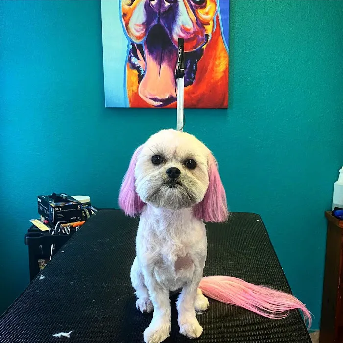Hope Animal Clinic Picture 6