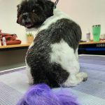 Hope Animal Clinic