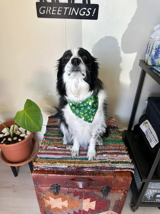 Henly AcuVet, PLLC Picture 4