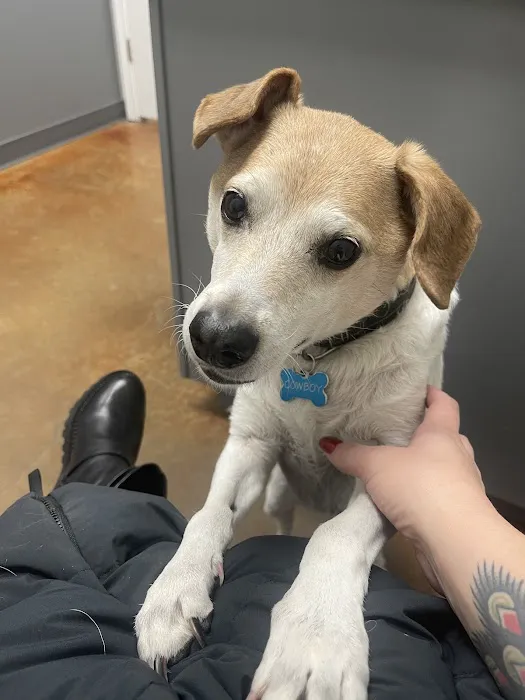 Parmer Lane Pet Hospital Picture 2