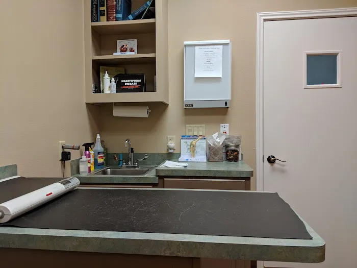 Parmer Lane Pet Hospital Picture 6