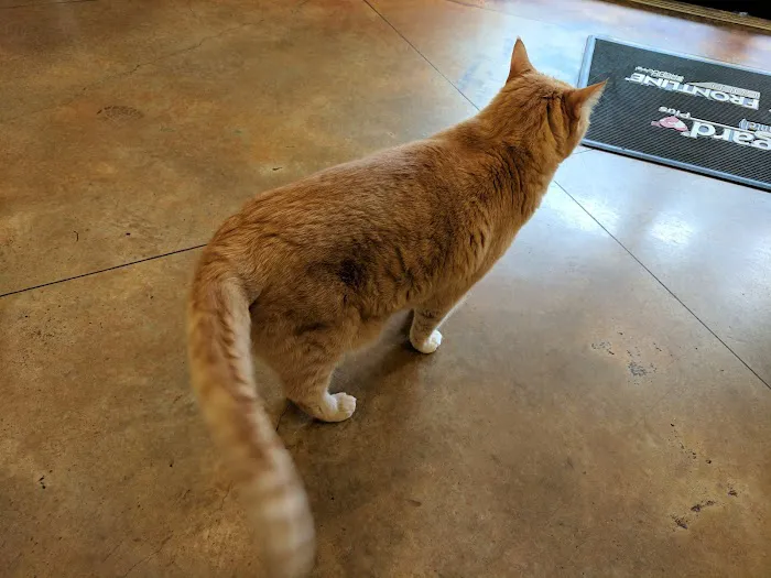 Parmer Lane Pet Hospital Picture 4