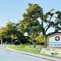 Parmer Lane Pet Hospital ico