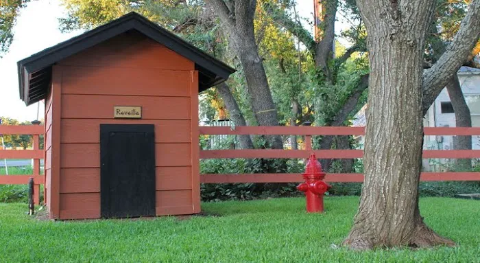 Brushy Creek Veterinary Clinic Picture 3