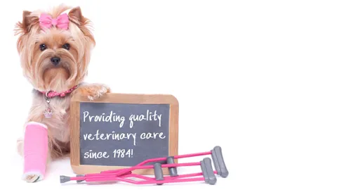 Brushy Creek Veterinary Clinic Picture 6