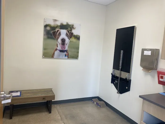 Vetco Total Care Animal Hospital Picture 7