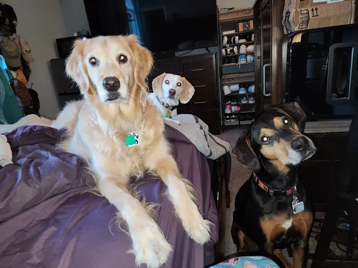 Republic Veterinary Hospital Picture 3