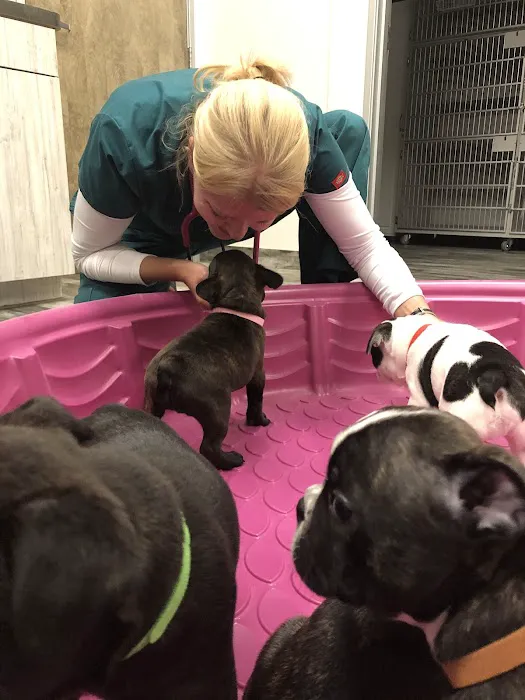 Kindred Animal Hospital Picture 7