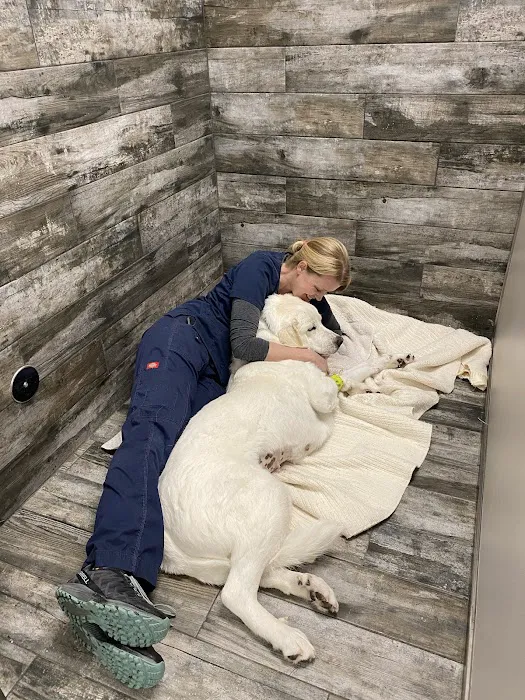 Kindred Animal Hospital Picture 6