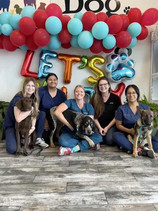 Kindred Animal Hospital Picture 8