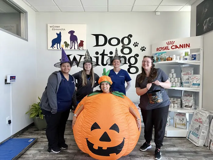 Kindred Animal Hospital Picture 4