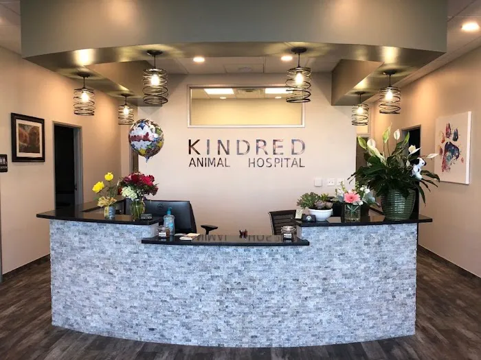 Kindred Animal Hospital Picture 3