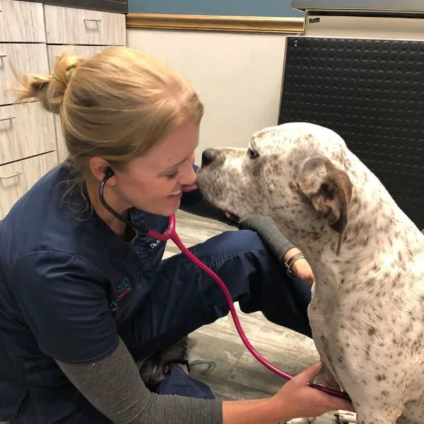 Kindred Animal Hospital Picture 10
