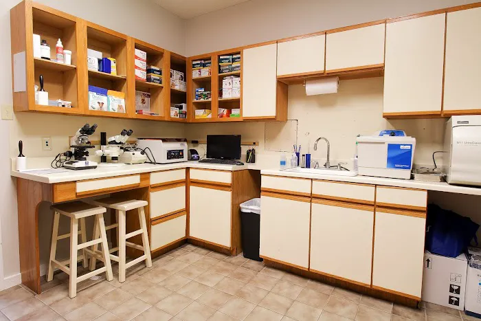 Deep Roots Animal Clinic Picture 5