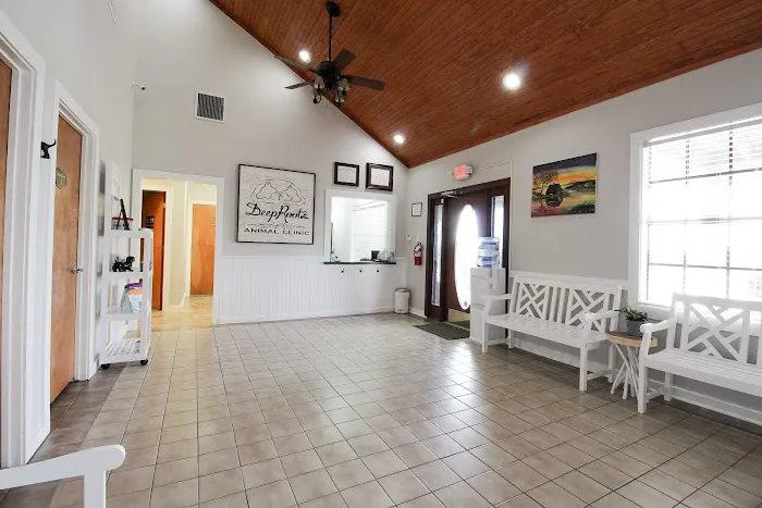 Deep Roots Animal Clinic Picture 10
