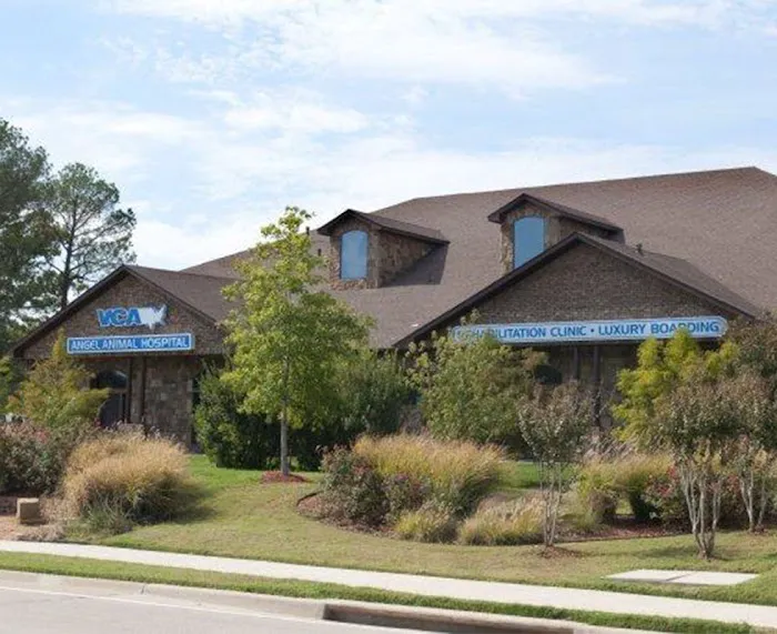 VCA Angel Animal Hospital Picture 1