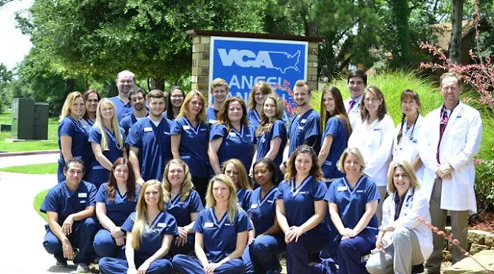 VCA Angel Animal Hospital Picture 8