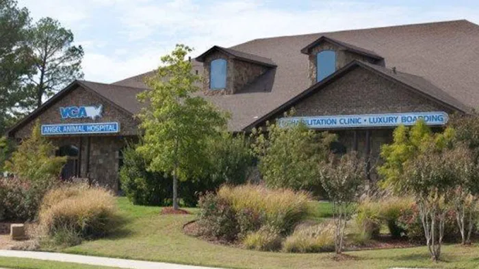 VCA Angel Animal Hospital Picture 5