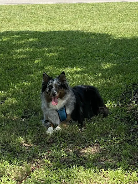 Flower Mound Veterinary Hospital Picture 3