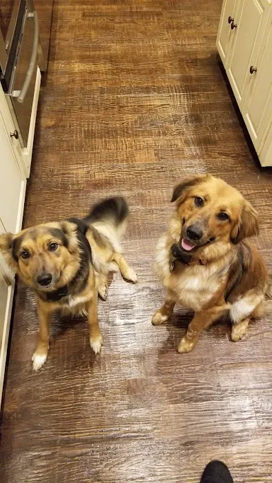 Flower Mound Veterinary Hospital Picture 7