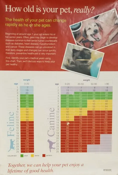 Flower Mound Veterinary Hospital Picture 5