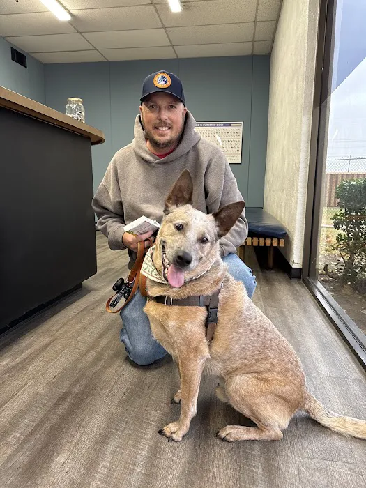 Lewisville North Animal Clinic PC Picture 5